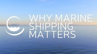 Why Marine Shipping Matters