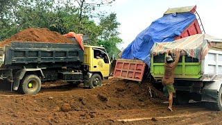 Mobil Dump Truk Tanah Timbunan Jomplang Muatan Berlomba-lomba Sampai Lupa Membuka Penutup