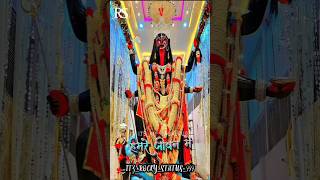 TAHI BHARTI  SABHI KE MAA BHANDARE MAA#jaimatadi #shotrs #viral #video #bhakti #maa #bhajanstatus