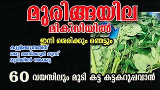 മുരിങ്ങ ഒരിക്കൽ ഇങ്ങനെ ചെയ്താൽ/muringa hair care /poppy vlogs/malayalam