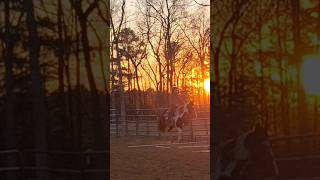 amazing sunset ride with my favorite girl 🫶 #horsebackrider #horse #equestrian #horseriding #horses