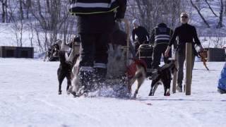 Snowhotel Kirkenes  - Winter Season