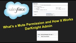 Mute Permissions- What they are and how they work