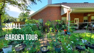 Vegetable garden tour: What vegetables I'm growing