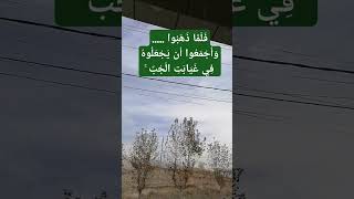 ١٢ ديسمبر، ٢٠٢٤