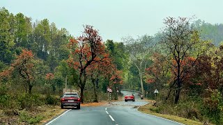 Road Trip to Purulia | Palash Season | Mar 2023