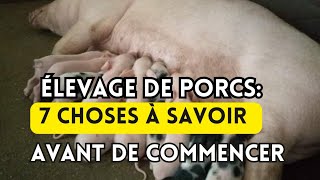 7 Choses à savoir avant de Débuter l'Élevage des Porcs en Afrique(7things to know in pig breeding)