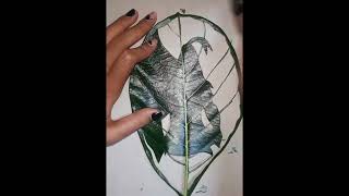 ||Lord shiva leaf cutting art|| leaf #art #karabi #shortvideo #viral#art#artist #trending#shiva#lord