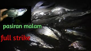 Surf fishing || pasiran jogja malam hari full strike tombol / gulama putih