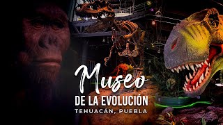 Museo de la Evolución en Tehuacán, Puebla 2023: Universo, dinosaurios, cavernícolas y más