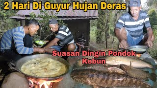 2 Hari Di Guyur Hujan Deras, suasana dingin pondok kebun, kalapnya makan saat suasana ini