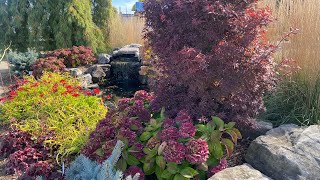 Las Plantas Y Flores Para Clima Frio.