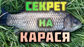 ОГРОМНЫЕ КАРАСИ РВУТ лески!!! Жор карася в апреле!