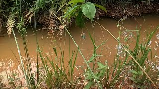 solusi cara memancing khusus untuk orang yang tidak sabar menunggu terlalu lama..!!!