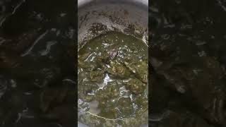 Hariyali Mutton 'लाजवाब' #asmr