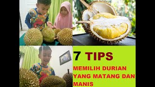 7 TIPS MEMILIH DURIAN YANG MATANG DAN MANIS |DURIAN UNGGUL| #as2ntv #durian