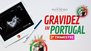 GRAVIDEZ EM PORTUGAL  (2º TRIMESTRE)