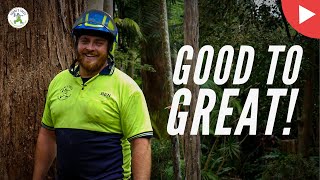 GOOD TO GREAT - SHANES TREES