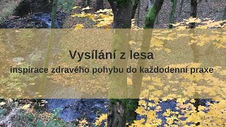 Zvedni oči, protáhni záda - třeba v lese