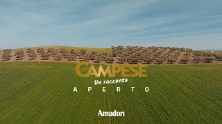 Il Campese - Un Racconto Aperto | Official Trailer