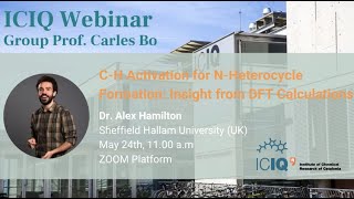 Workshop: C-H Activation for N-Heterocycle Formation: Insight from DFT Calculations