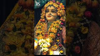 hai ladli  radhika rani#radhika #radharani #viral #video #whatsappstatus #shotrs #