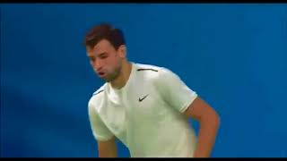 Del Potro Dimitrov final