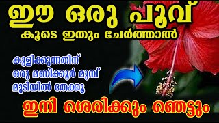 മുടിക്ക് നല്ല കറുപ്പ് കിട്ടാനും തഴച്ചു വളരാനും /hair care chembharthi/poppy vlogs/malayalam