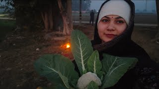 makar sankranti ese koi nahi Banta jaise humne banai