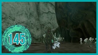 The Legend of Zelda: Tears of the Kingdom 100% Walkthrough - Part 145: Wellspring of Wisdom