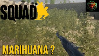 SQUAD - Marihuana ? | Gameplay Español