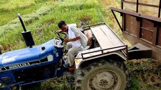 Swaraj 8100 combine l कंबाइन से धान काटते हुए🚜