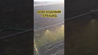 Внесення досходового гербициду по часнику!