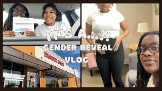 Traders Joe's haul + Taste Test, Anatomy Scan, and Gender Reveal: It's A   ?