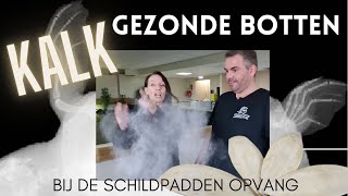 KALK goed voor het schild Hoe te geven?