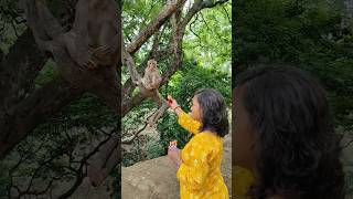 Feeding Monkey 🐒 #youtubeshorts #monkey #natureexplorers #monkey05