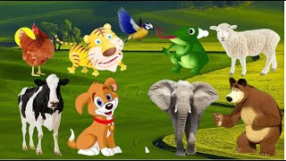 Amazing Sound of Familiar Animals Elephant Goat Bird Fish Squirrel Cow Frog  Animal Theater