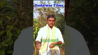 शेतकरी आम्ही कष्टकरी... Gudalwar Films... Short Video...