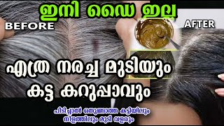 വെളുത്ത എല്ലാ മുടിയും ഒരു ദിവസം മതി കരിപോലെ /hair dye natural /poppy vlogs /malayalam