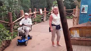 Trip to Chester Zoo with Dad May 2019