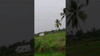 # village life # yt shorts# chutti me gaon ..full video on my channel