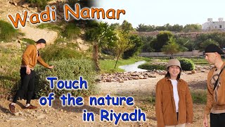 Where to Go for a Trip Near Riyadh /  Wadi Namar /  Afternoon Walk Along A Stream in Saudi Arabia