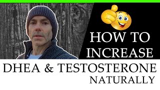 How to Increase Testosterone & DHEA Naturally (easy steps)