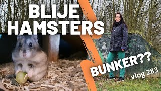 Blije hamsters en is dit een bunker ?? Vlog 283