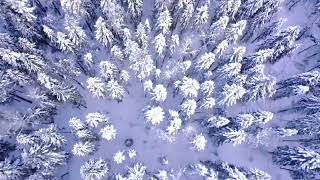 Полёт на квадрокоптере над дачами в Сыктывкаре. Республика Коми. Quadcopter flight over Syktyvkar