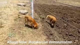 Solar fencing machine live demonstration