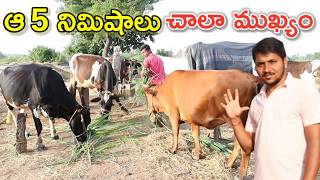 రోగాన్ని గుర్తు పట్టలేక పోయా Bharathrao dairy farm @MalleshAdla