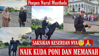 TEHNIK MEMANAH SEKALIAN MENCOBA NAIK KUDA PONI