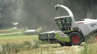 Die Raubkatze ist wieder unterwegs Claas Jaguar 970 beim Triticale Ernten  kommt IKT  Biogas Anlage