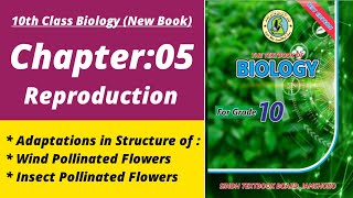 Adaptation in the structure of flowers| Biology class 10 chapter 5| Class 10 new biology book